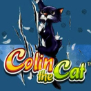 Colin The Cat